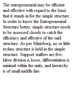 Designing Organizational Structure Module 1 Discussion1